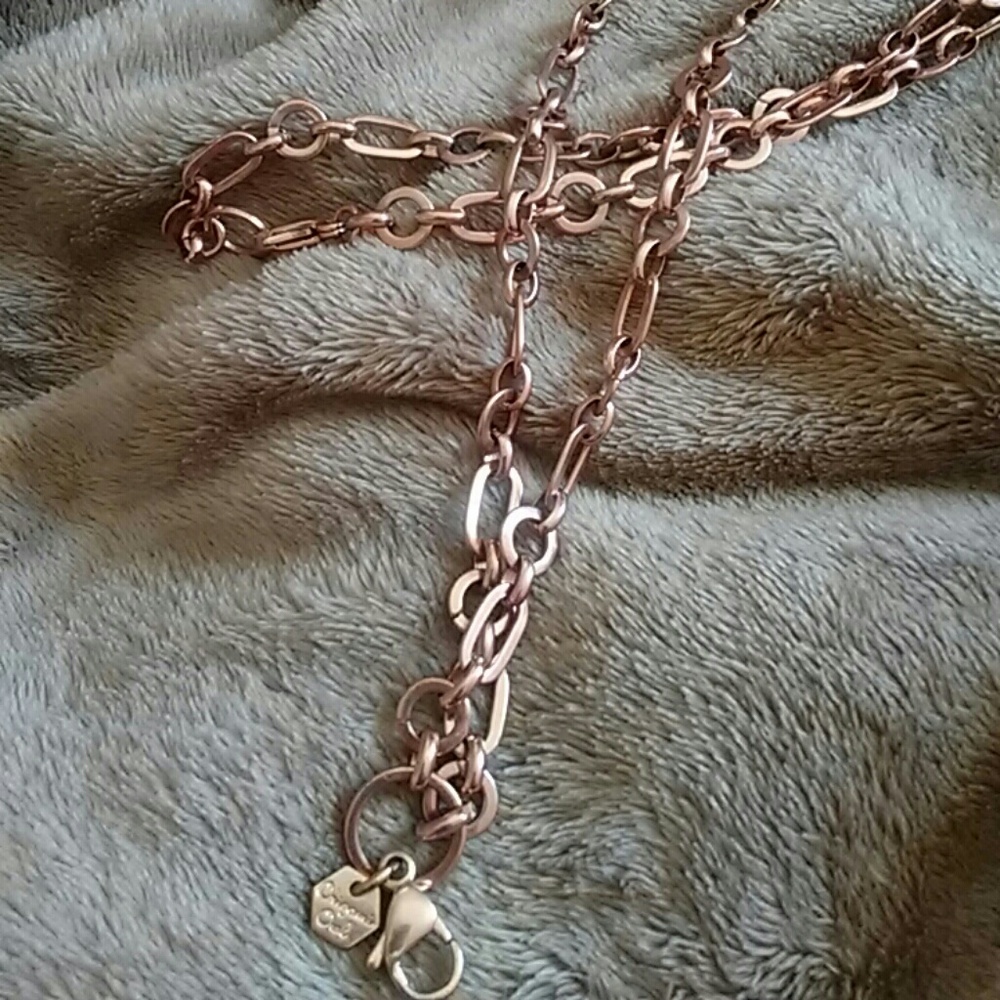 Orgami Owl rose gold living locket necklace.